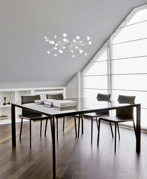 Adn White Chandelier
