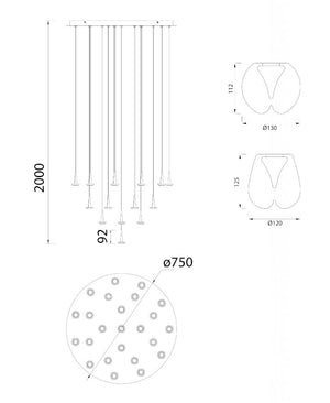 Andromeda 24 Camlı Avize