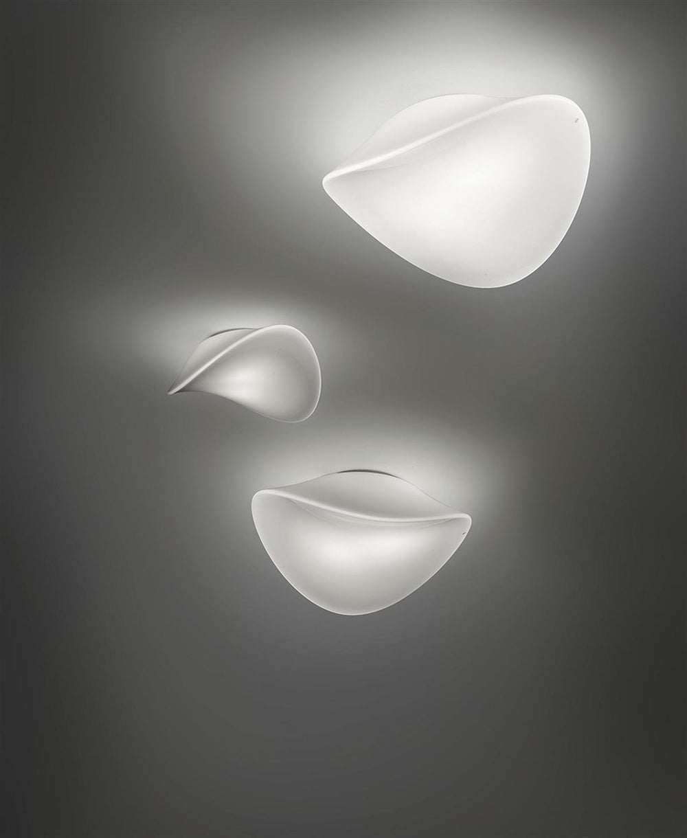 Balance PP 46 Plafonyer