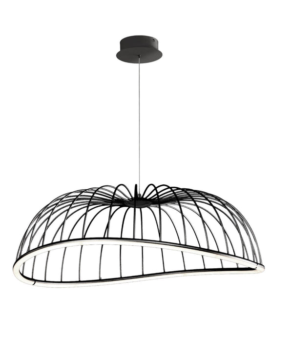 CELESTE BÜYÜK BOY SARKIT