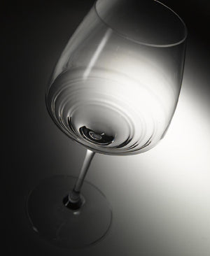 Esperienze 2li Beyaz Şarap Kadehi