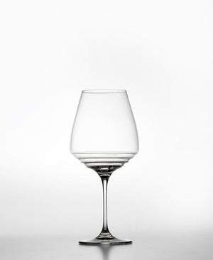 Esperienze 2li Yıllanmış Kırmızı Şarap Kadehi