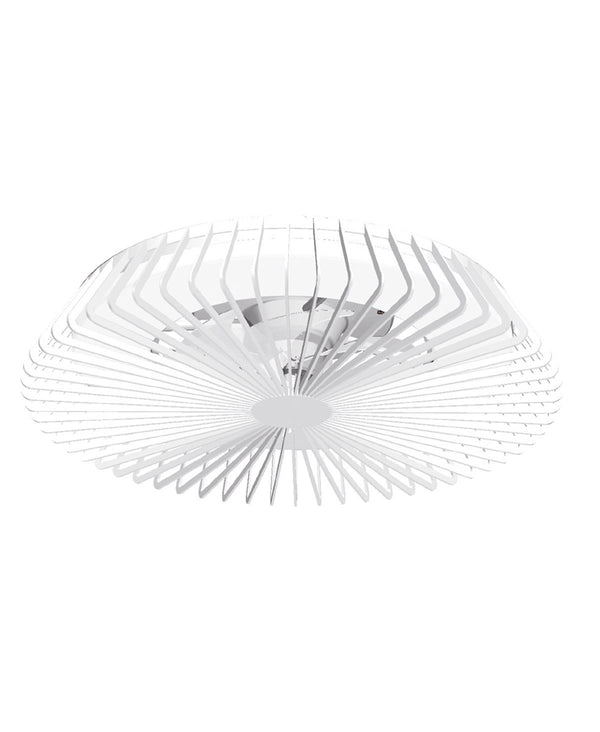 Himalaya White Fan