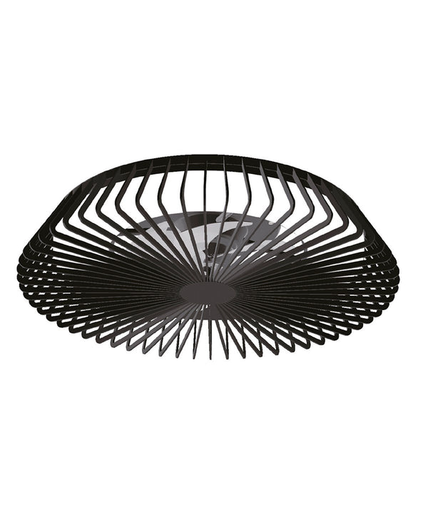 Himalaya Black Fan