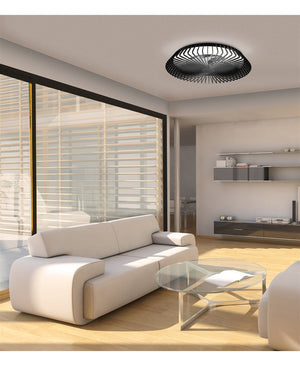 Himalaya Black Fan