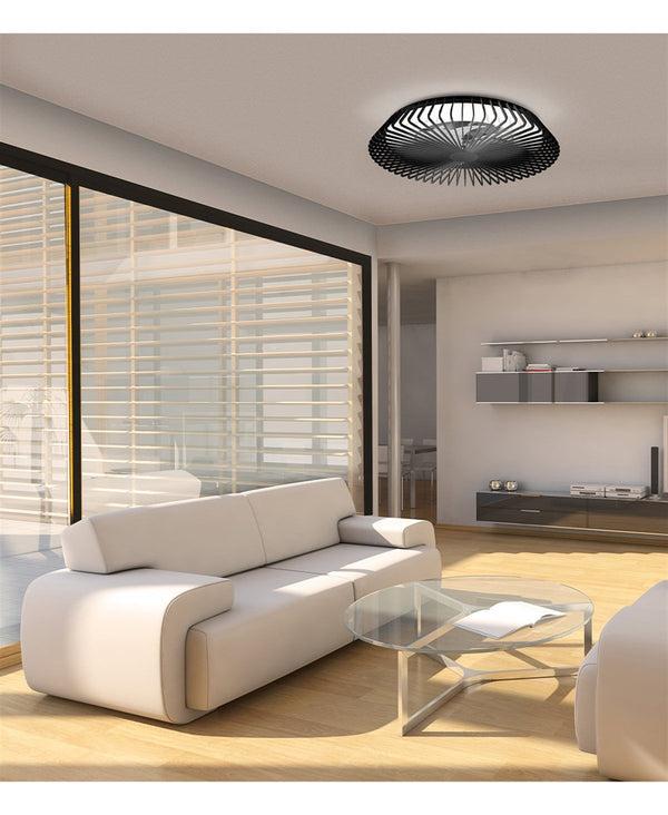 Himalaya Black Fan