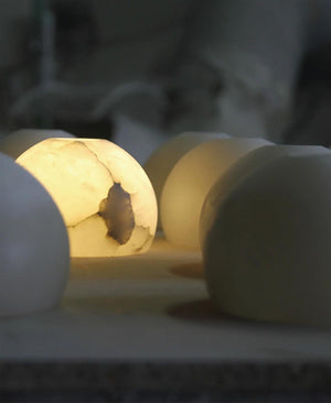 NEIL ALABASTER MERMER SARKIT