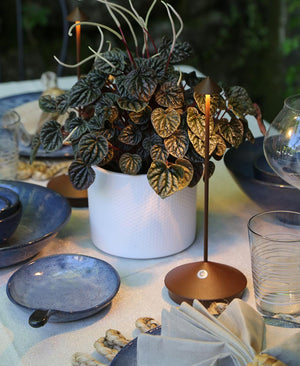 Pina Pro Şarjlı Masa Lambası - Kahverengi