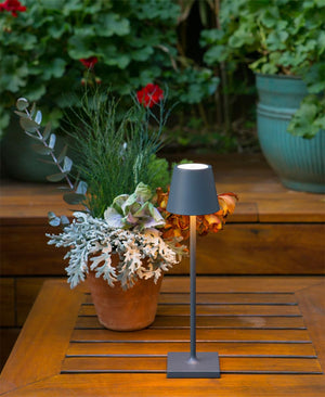 Poldina Micro Şarjlı Masa Lambası - Koyu Gri