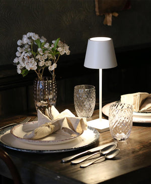 Poldina Pro Mini Şarjlı Masa Lambası - Beyaz